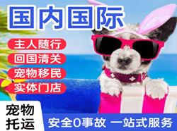 西昌青山航空邮寄国际宠物托运 【国